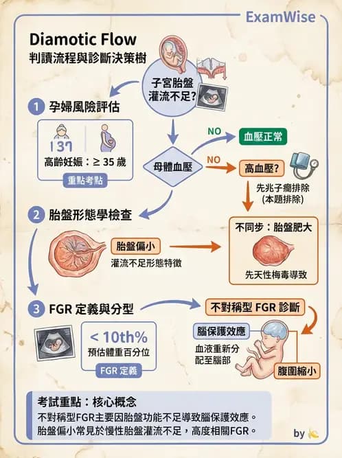 放射 - 生殖系統及乳房疾病 - AI 圖文解析預覽