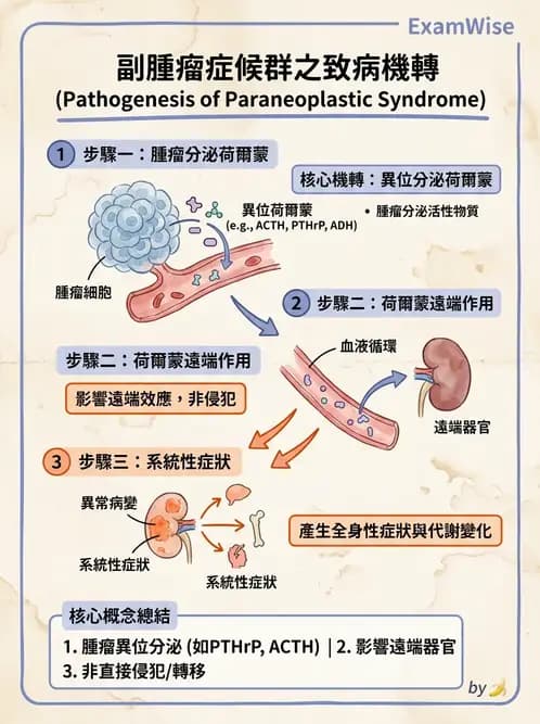 放射 - 惡性腫瘤 - AI 圖文解析預覽