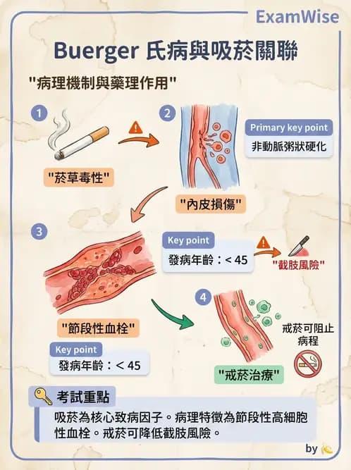 放射 - 心臟及血管疾病 - AI 圖文解析預覽