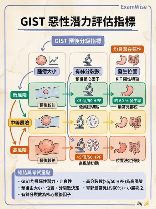放射 - 口腔及腸胃道疾病 - AI 圖文解析預覽