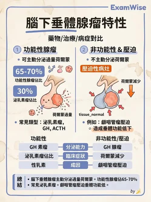 放射 - 內分泌系統疾病 - AI 圖文解析預覽