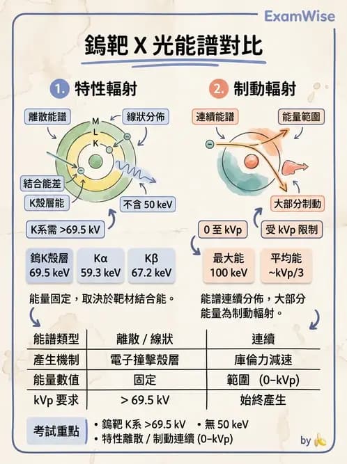 放射 - X光產生與特性 - AI 圖文解析預覽