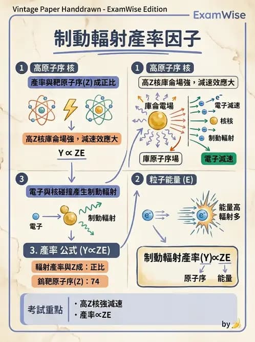 放射 - 帶電粒子與中子和物質作用 - AI 圖文解析預覽