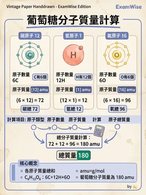 放射 - 放射性蛻變模式 - AI 圖文解析預覽