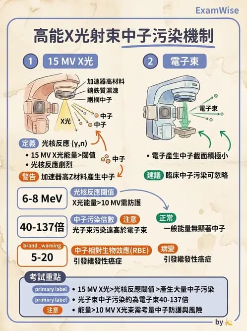 放射 - 特殊治療技術 - AI 圖文解析預覽
