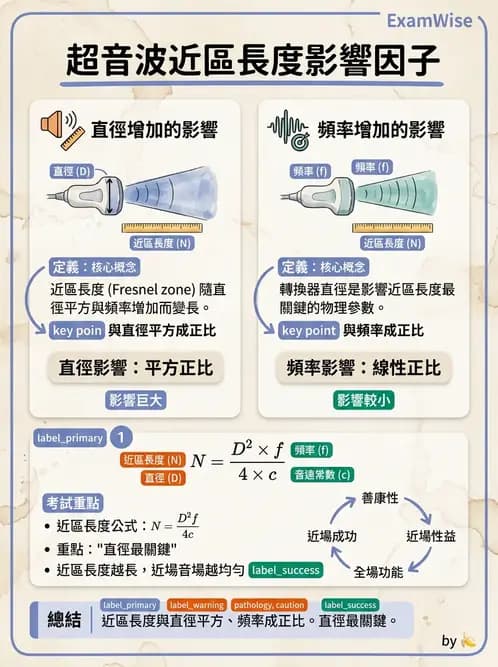 放射 - 超音波物理與換能器 - AI 圖文解析預覽