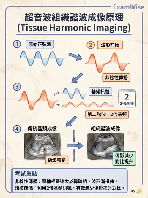 放射 - 超音波物理與換能器 - AI 圖文解析預覽