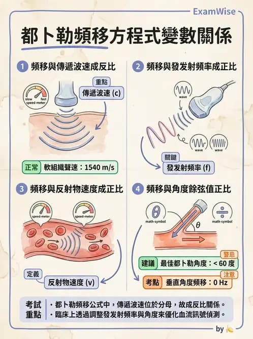 放射 - 超音波成像與都卜勒 - AI 圖文解析預覽