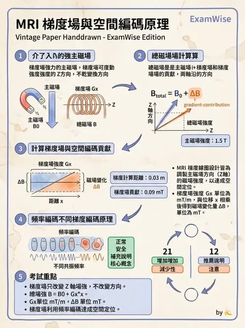 放射 - 空間編碼與影像品質 - AI 圖文解析預覽