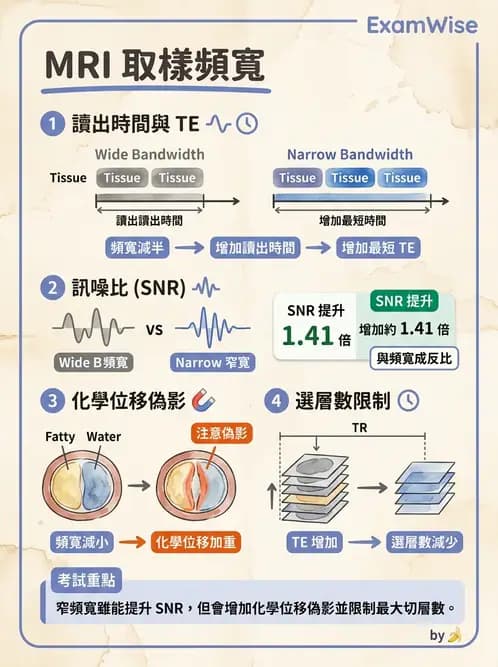 放射 - 空間編碼與影像品質 - AI 圖文解析預覽
