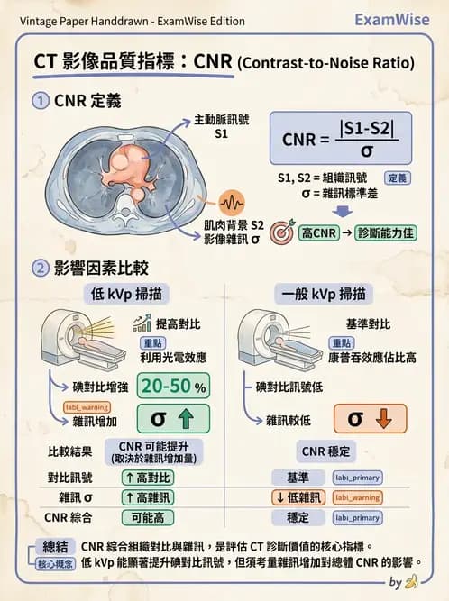 放射 - 透視與數位影像 - AI 圖文解析預覽