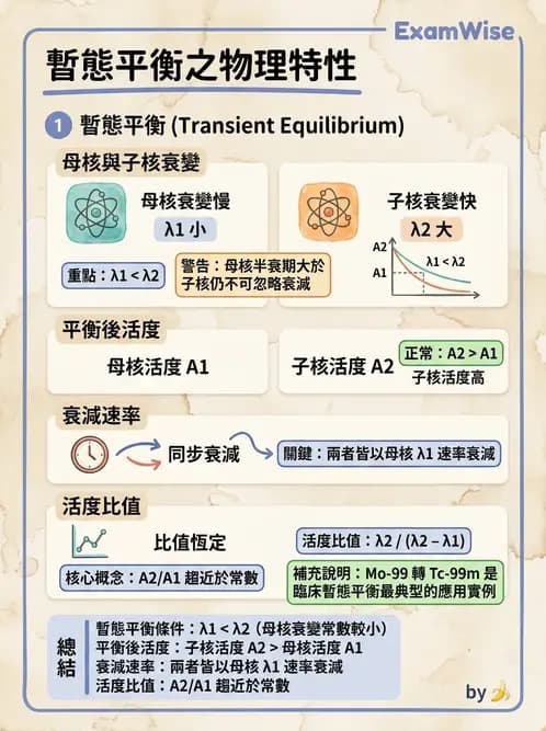 放射 - 放射性活度與衰變計算 - AI 圖文解析預覽