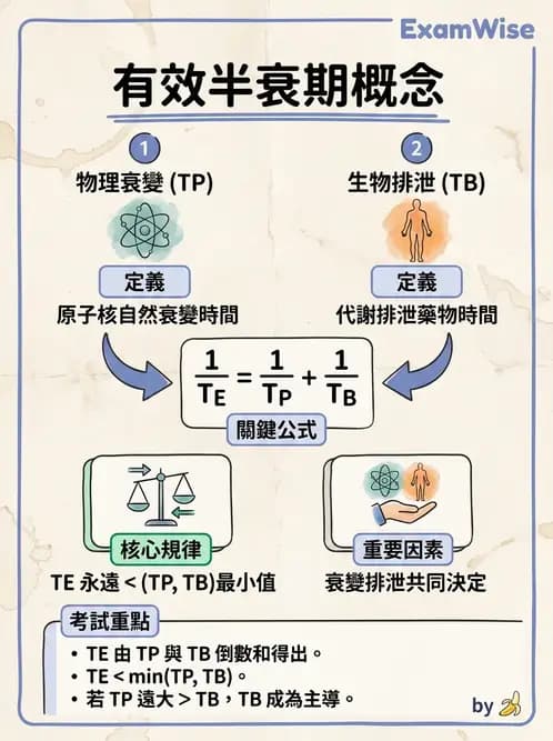 放射 - 體內劑量 - AI 圖文解析預覽