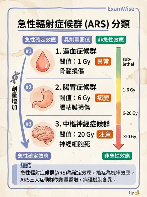 放射 - 全身性輻射效應 - AI 圖文解析預覽