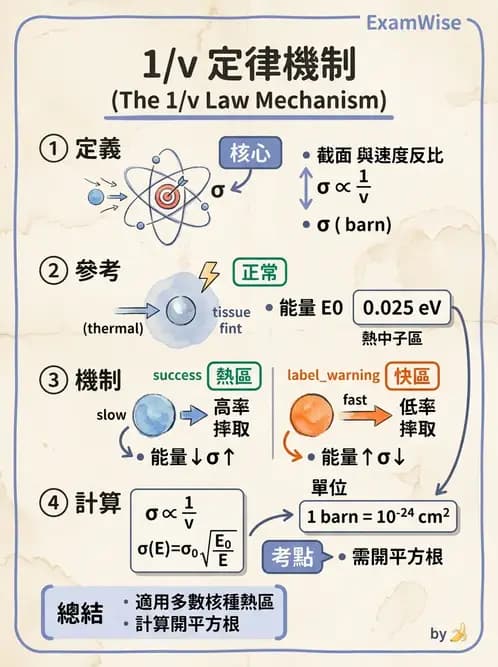 放射 - 帶電粒子與中子和物質作用 - AI 圖文解析預覽