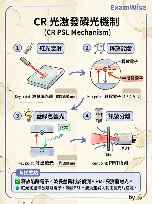 放射 - 電腦放射攝影(CR)原理與應用 - AI 圖文解析預覽