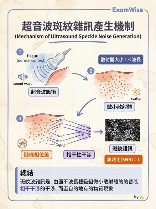 放射 - 超音波進階成像與假影 - AI 圖文解析預覽