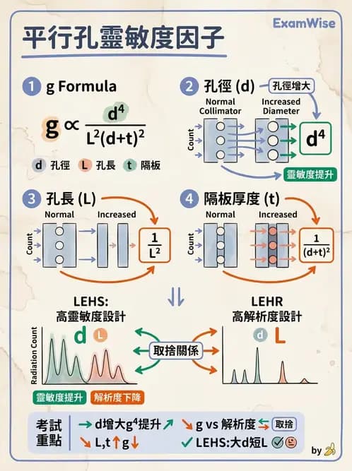 平面影像 - 影像儀器設備 - AI 圖文解析預覽