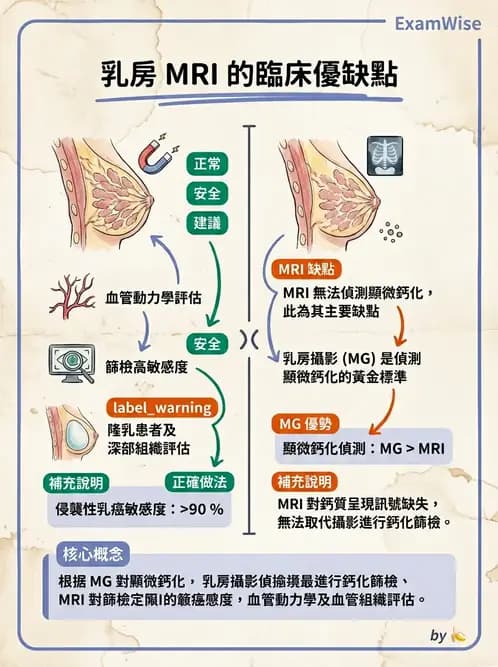 放射 - MR進階影像與臨床應用 - AI 圖文解析預覽