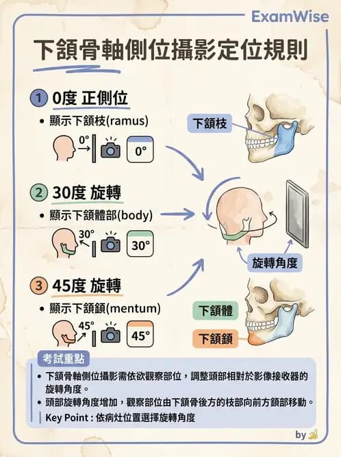 放射 - 頭頸脊椎攝影技術 - AI 圖文解析預覽