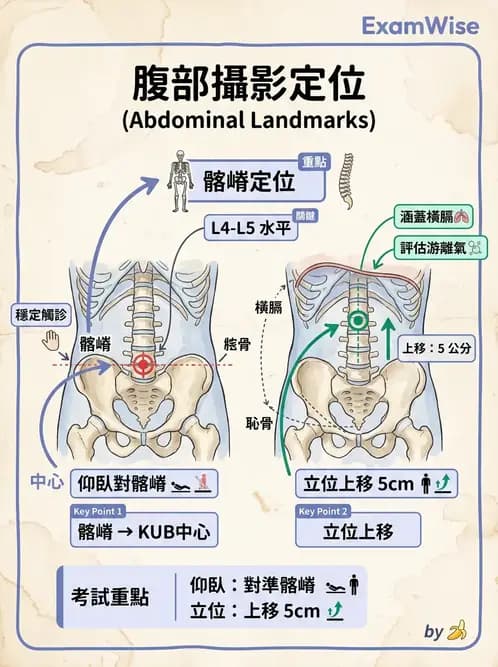 放射 - 軀幹四肢攝影技術 - AI 圖文解析預覽