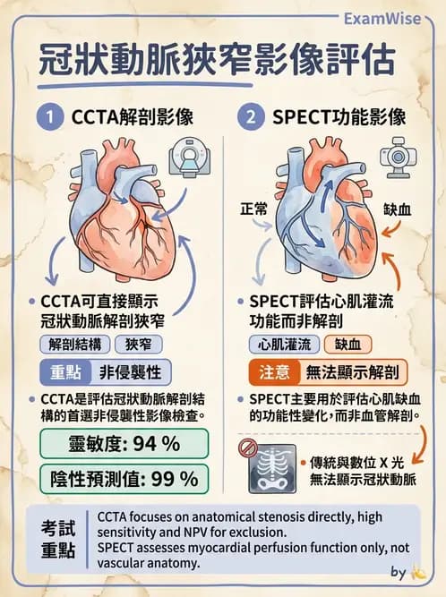 放射 - CTA與CT影像技術應用 - AI 圖文解析預覽