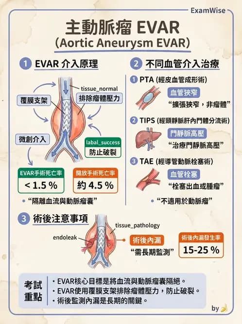 放射 - 導管技術與介入性治療 - AI 圖文解析預覽