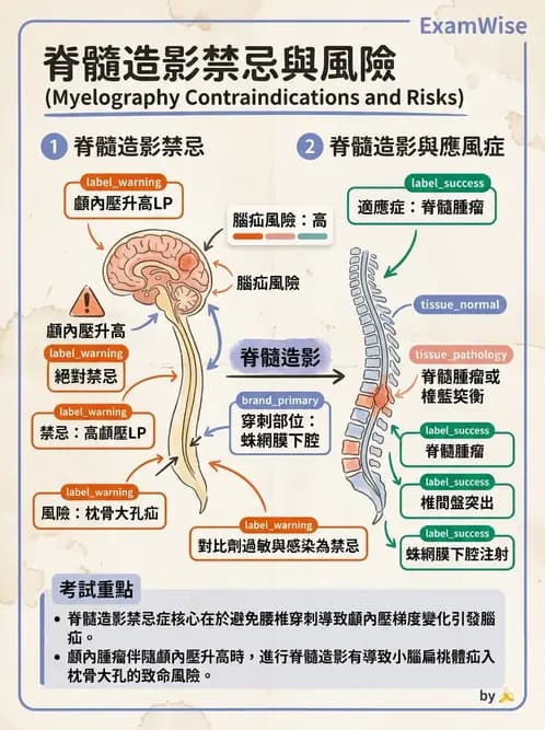 放射 - 頭頸脊椎攝影技術 - AI 圖文解析預覽