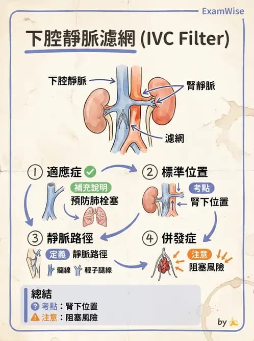 放射 - 導管技術與介入性治療 - AI 圖文解析預覽