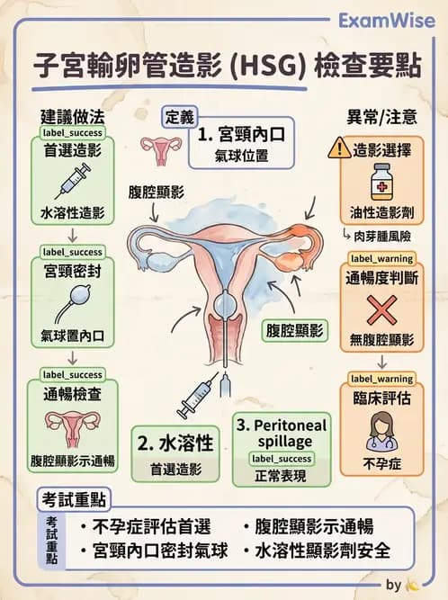 放射 - 泌尿生殖攝影 - AI 圖文解析預覽