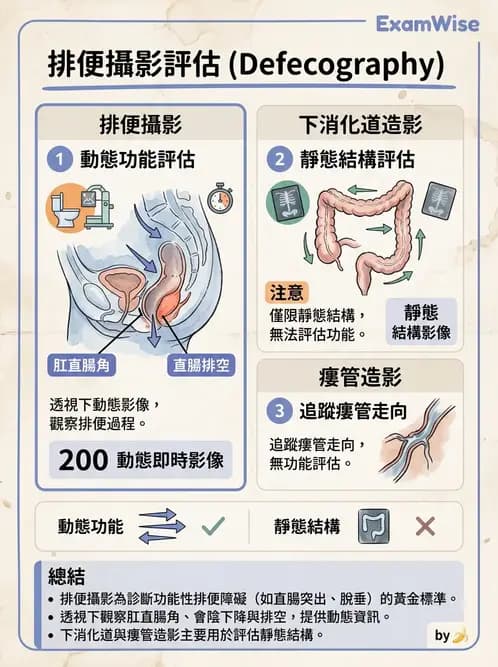放射 - 消化道造影 - AI 圖文解析預覽