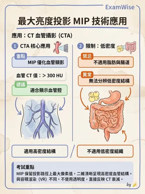 放射 - CTA與CT影像技術應用 - AI 圖文解析預覽
