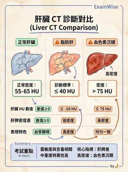 放射 - 胸腹部CT診斷 - AI 圖文解析預覽