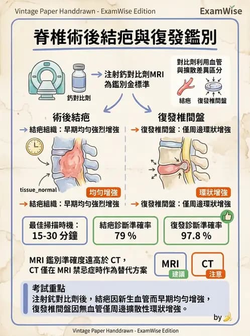 放射 - MR進階影像與臨床應用 - AI 圖文解析預覽