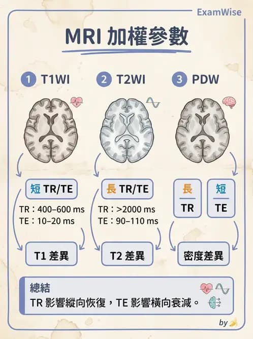 放射 - 磁振影像品質與參數 - AI 圖文解析預覽