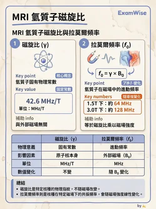 放射 - 磁振造影原理 - AI 圖文解析預覽