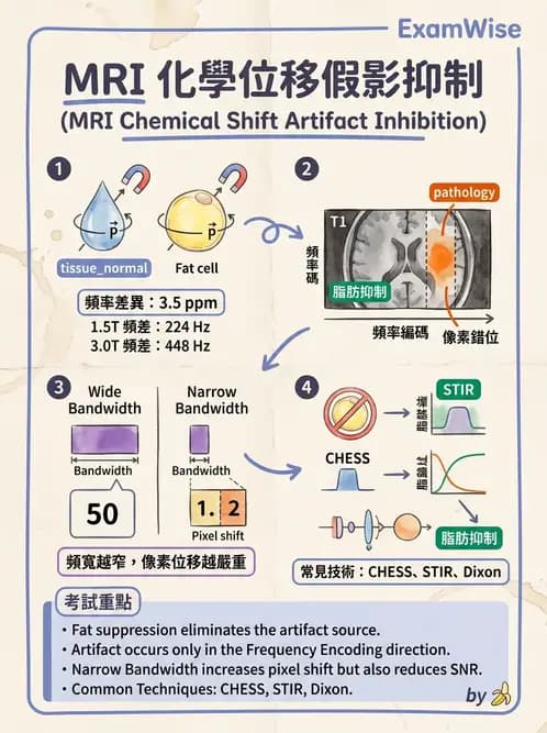 放射 - 磁振影像品質與參數 - AI 圖文解析預覽