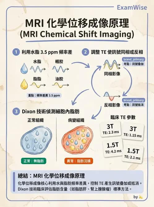 放射 - MRI脈衝序列與訊號技術 - AI 圖文解析預覽