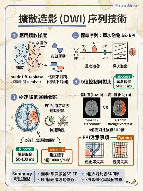 放射 - MRI脈衝序列與訊號技術 - AI 圖文解析預覽