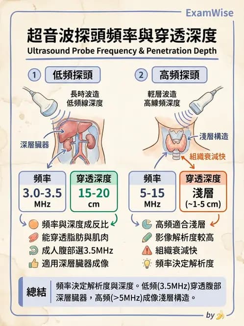 放射 - 超音波物理與技術 - AI 圖文解析預覽