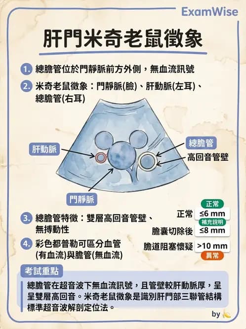 放射 - 膽胰脾超音波 - AI 圖文解析預覽