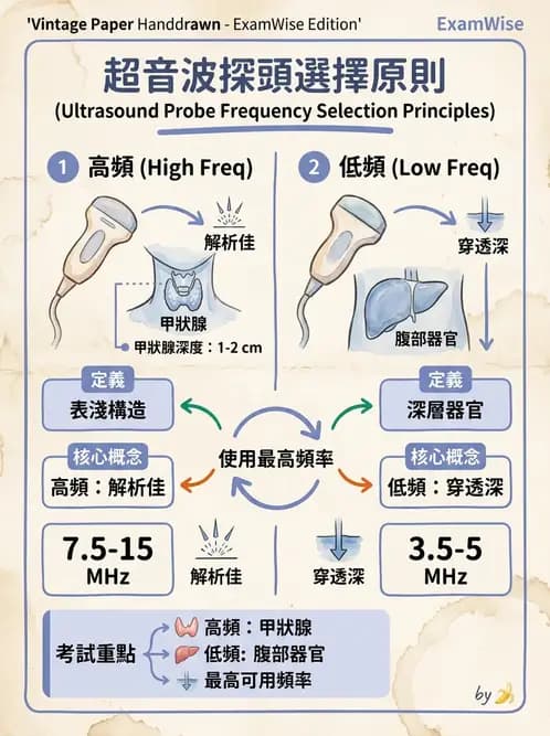 放射 - 泌尿生殖與小器官超音波 - AI 圖文解析預覽