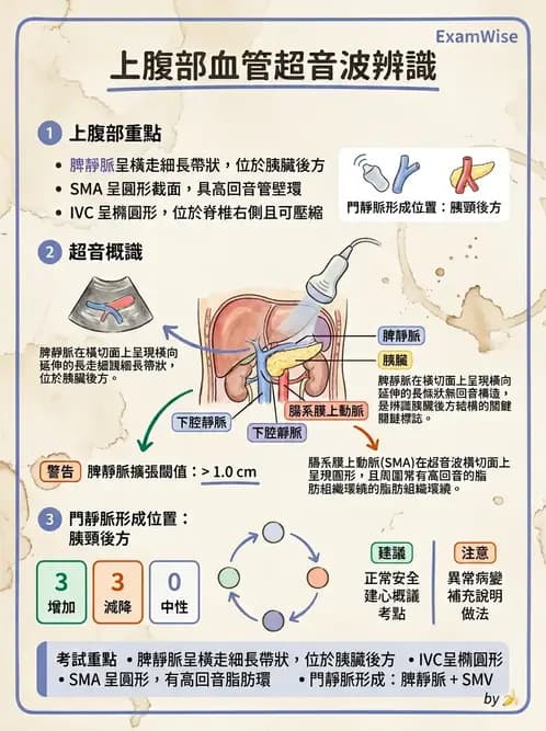 放射 - 膽胰脾超音波 - AI 圖文解析預覽