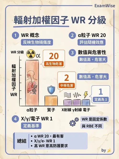放射 - LET、RBE、OER與復氧效應 - AI 圖文解析預覽