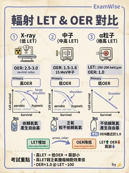 放射 - LET、RBE、OER與復氧效應 - AI 圖文解析預覽