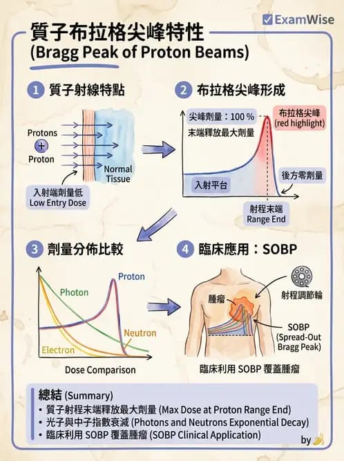 放射 - 質子與粒子治療 - AI 圖文解析預覽