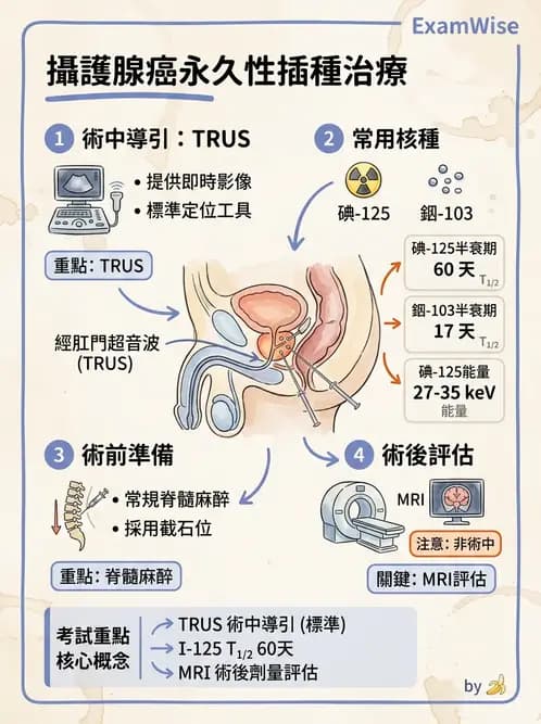 放射 - 插種近接治療 - AI 圖文解析預覽