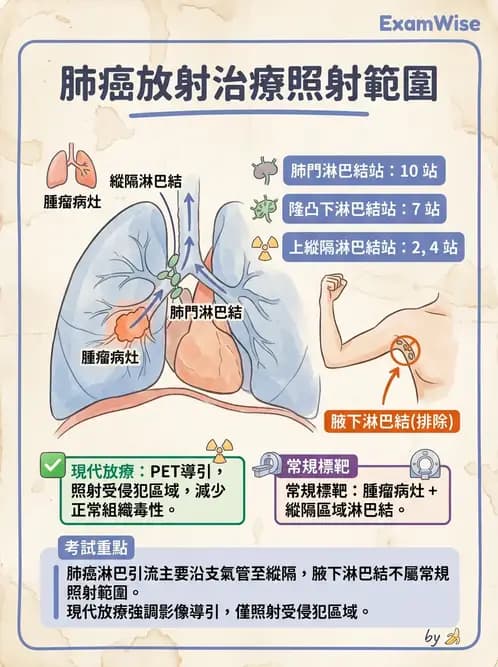 放射 - 疾病部位計畫與危急器官保護 - AI 圖文解析預覽