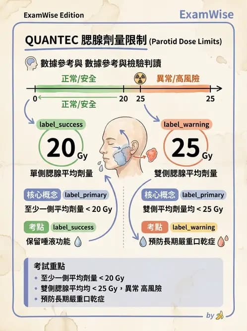 放射 - 疾病部位計畫與危急器官保護 - AI 圖文解析預覽