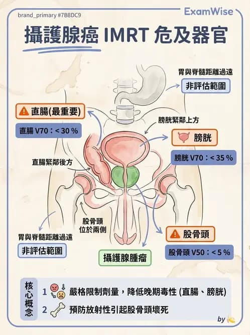 放射 - 疾病部位計畫與危急器官保護 - AI 圖文解析預覽